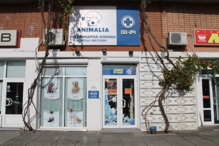 Начало работы клиники ANIMALIA на Солнечном
