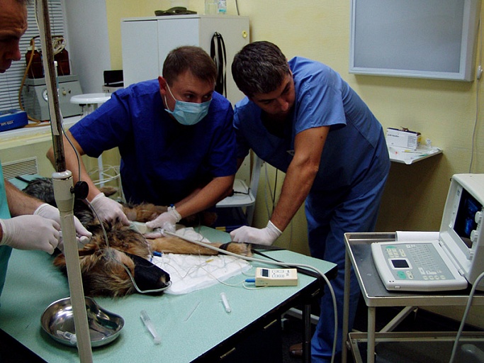 Региональная анестезия